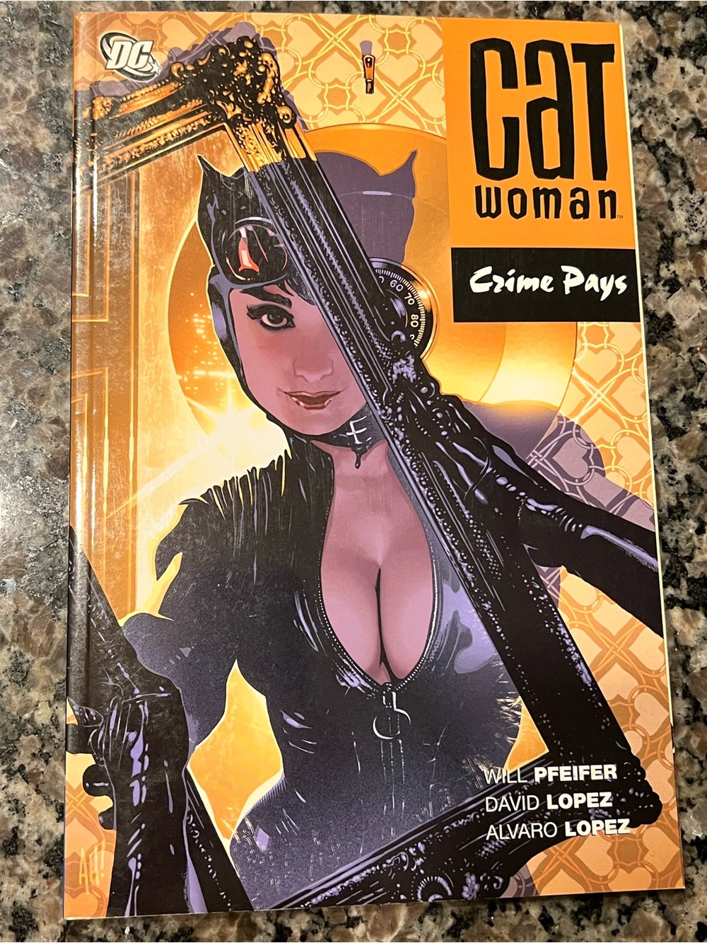 DC Catwoman Graphic Novel Cover — Orange & Black Artwork
